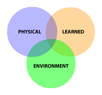 ENVIRON-LEARNED-TRIAD