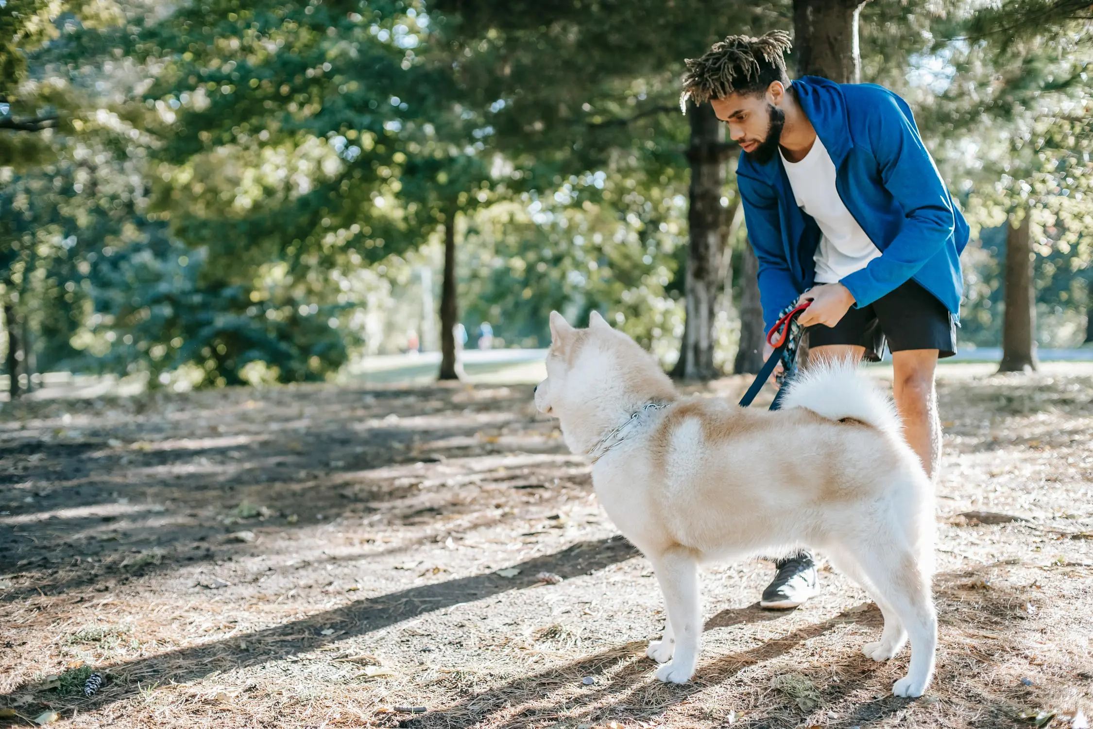 The importance of getting your dog’s attention at the earliest stage of aggressive arousal.