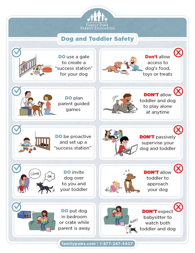 dogs_and_toddlers