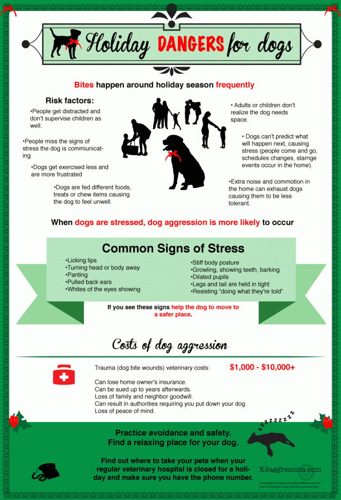 Bites happen more often during holidays infographic