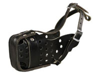 agitation-muzzle-example – K9Aggression.com