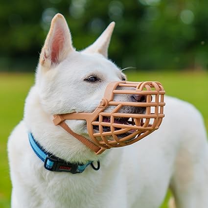 Dog wearing baskerville basket muzzle