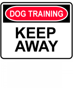 Dog Training: Keep Away design