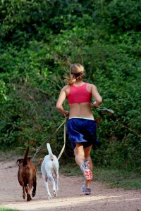 Person jogging with their dogs